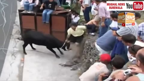 Dangerous Bull Fight Accidents Compilation | Lucky and Funny People Fail Video Clips