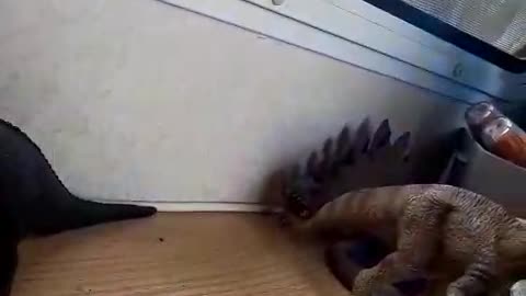 REPTILIAN SOCIETY