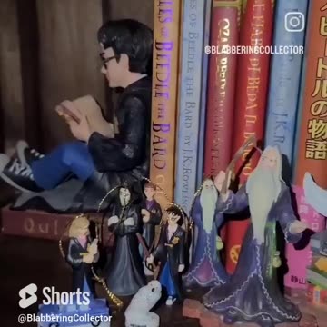 Quick Look: Harry Potter Shelf #shorts #harrypotter #wizardingworld #collecting #collector
