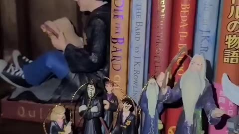 Quick Look: Harry Potter Shelf #shorts #harrypotter #wizardingworld #collecting #collector