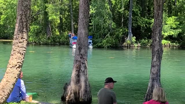 Mother's day at Swampys on the rainbow river