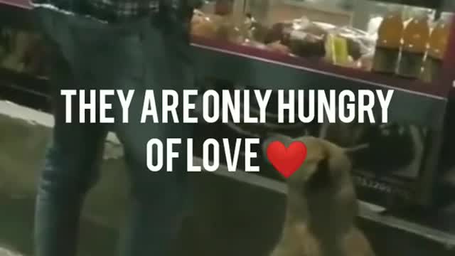 Heart touching, Emotional Scene of Human & Dog