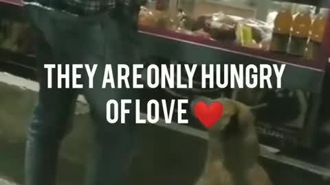 Heart touching, Emotional Scene of Human & Dog