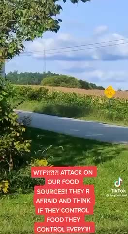 SO THIS IS HAPPENING Somewhere 👀