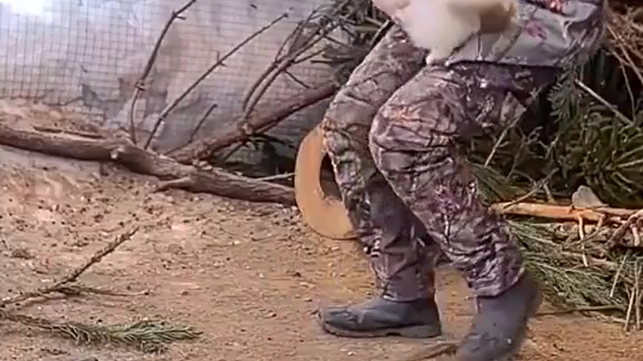 Speed : 100 damage : 1