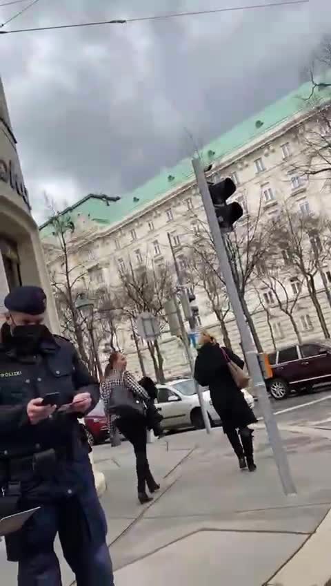 Make these cops from Vienna famous worldwide