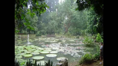 The Gardens in Umayyad society in Al Andalus