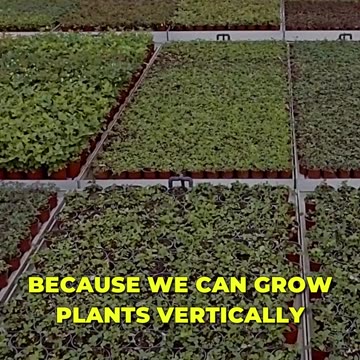 🌱 Vertical Farming: Elevating Agriculture With Aeroponics 🚀