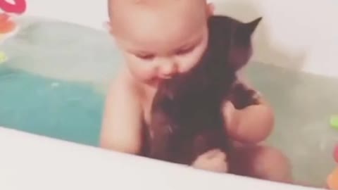 Cute baby and cat video