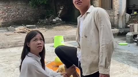Best funny video