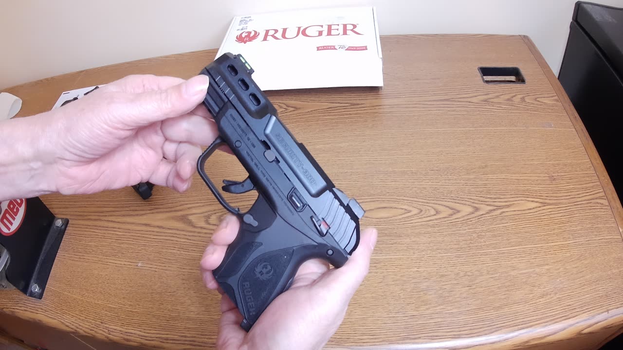 Ruger Security 380 - Lets Check It Out