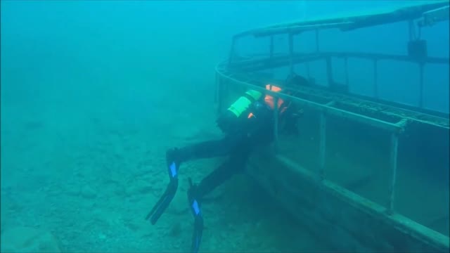 Scuba diving swims among one of the world's most bizarre fish, with a strange behavior!