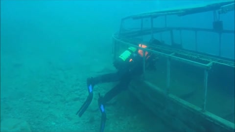 Scuba diving swims among one of the world's most bizarre fish, with a strange behavior!