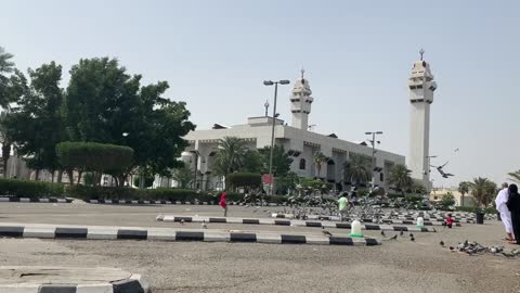 Two kids chasing the pigeons on a parking lot, nice scenario at all