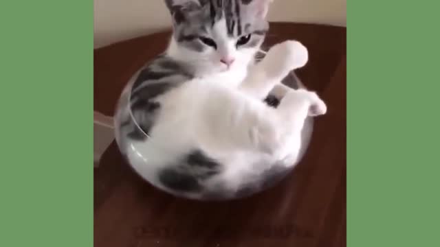 his bed is a glass pot