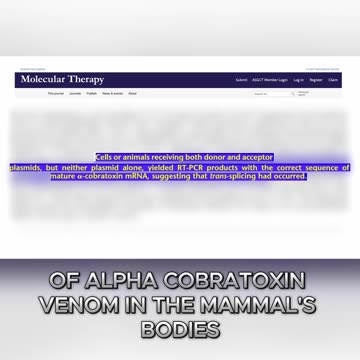 Dr. Bryan Ardis’ Shocking Discovery You Can’t Ignore!