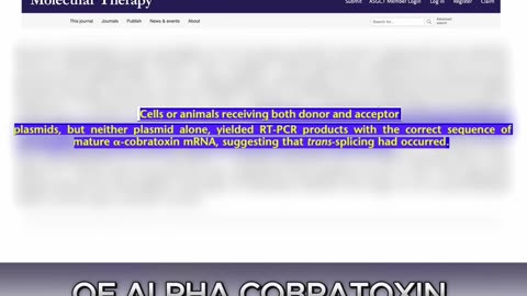 Dr. Bryan Ardis’ Shocking Discovery You Can’t Ignore!