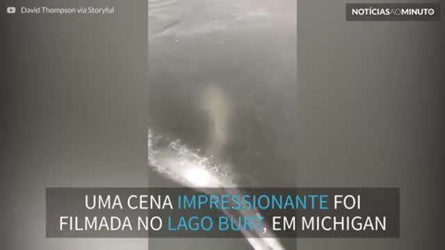 Peixe nada sob lago congelado em vídeo impressionante