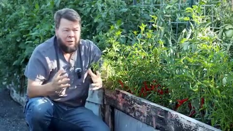 Top 5 Herbs and it's all Cayenne