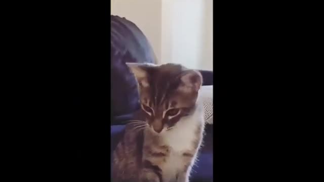 Funny VIDEO 3 minute