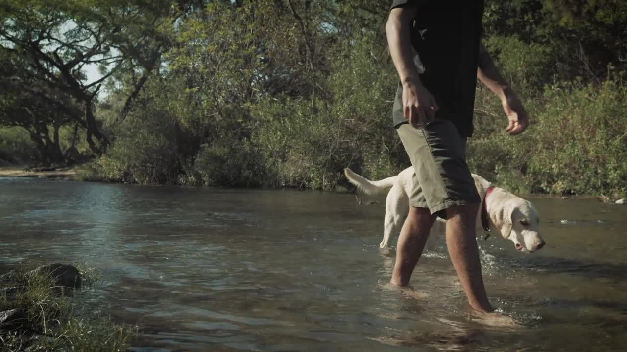 A man walks with his dog in a creek on a forest, low view