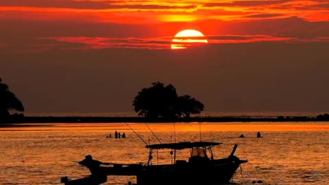 sunset