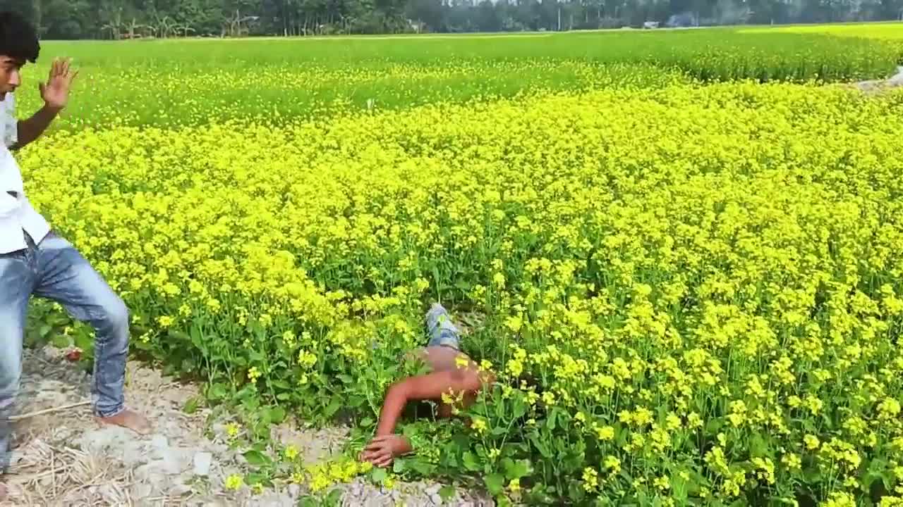 Funny videos-Verry Comedy Video wow