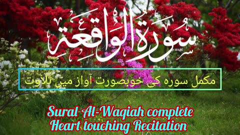 Surah Al-Waqiah | Surah Al Waqya Beautiful Recitation - Tilawat | Quran Recitation