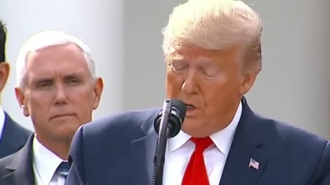 Tremendous - Donald Trump is Stupid