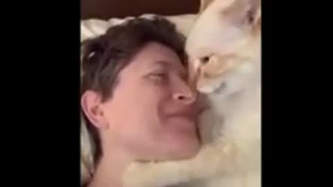 funny videos of cats and dogs 2024 | #2.