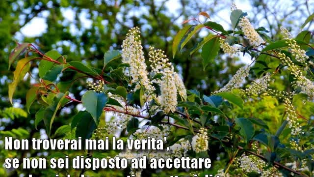 Solo la verità e interessante