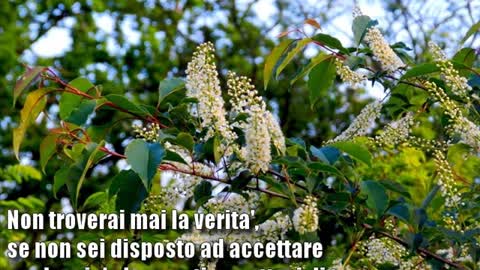 Solo la verità e interessante