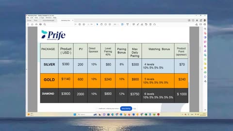 iTeraCare Inventory Update, How to Level Pair Diamonds to Make Most Income In Prife Business