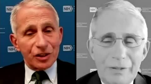 פאוצ'י נתפס משקר לגבי ההמלצות שלו לסגר מלא