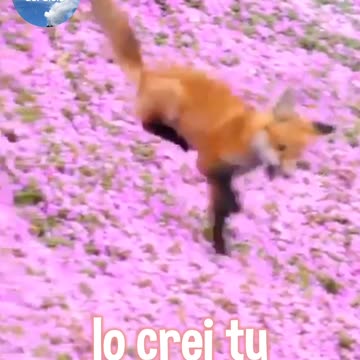 NON VOLTARTI INDIETRO