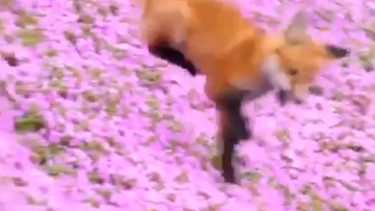NON VOLTARTI INDIETRO
