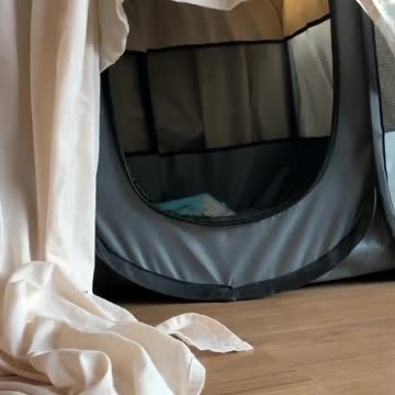 When you get caught pooping inside and don’t know which way to run