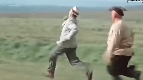 So funny videos