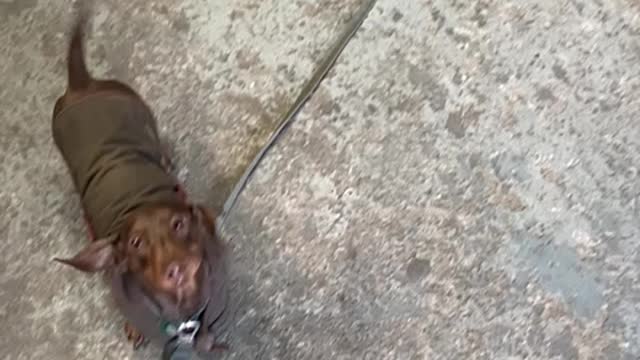 THE LEGEND THAT IS STAN