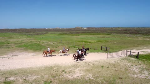 Tourists Ride Horses Across Countryside