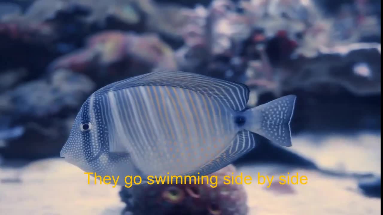 fish in the sea poem/ kids poem/