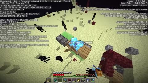 I Stole Minecraft's Rarest Diamond_p6