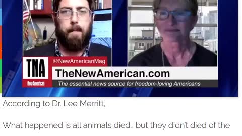 The Vax is a Perfect Weapon