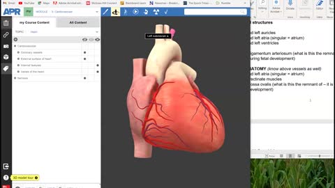 How to use Anatomy and Physiology Revealed