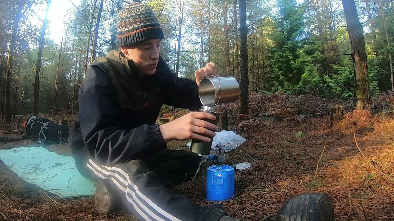 Night In The Forest