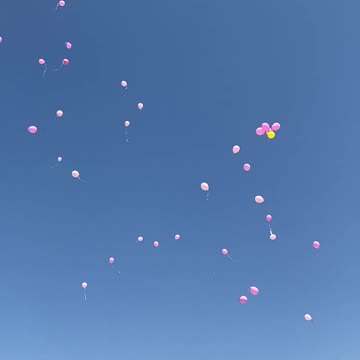 Celebration of my mom’s life.