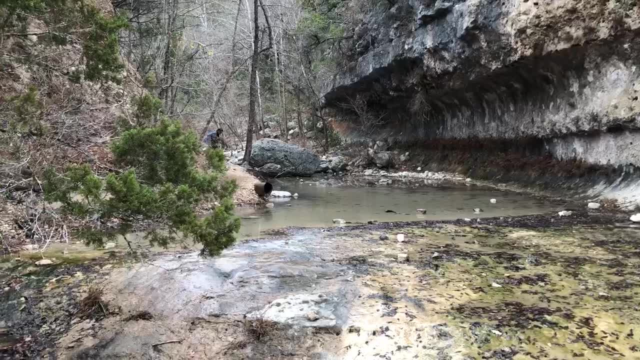 Lost Maples State Natural Area