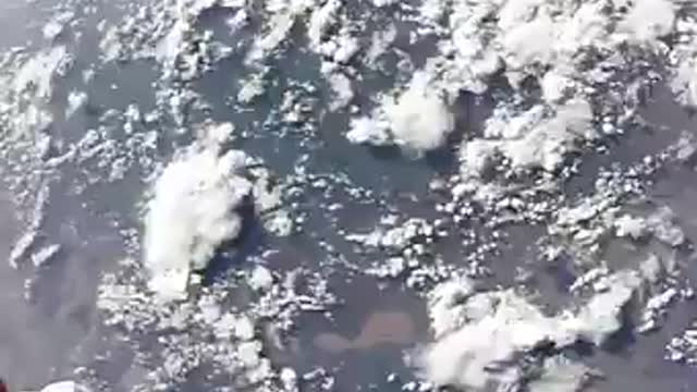 We are not alone up there