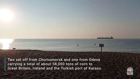 Three More Ships Loaded With Corn Sail From Ukrainian Ports