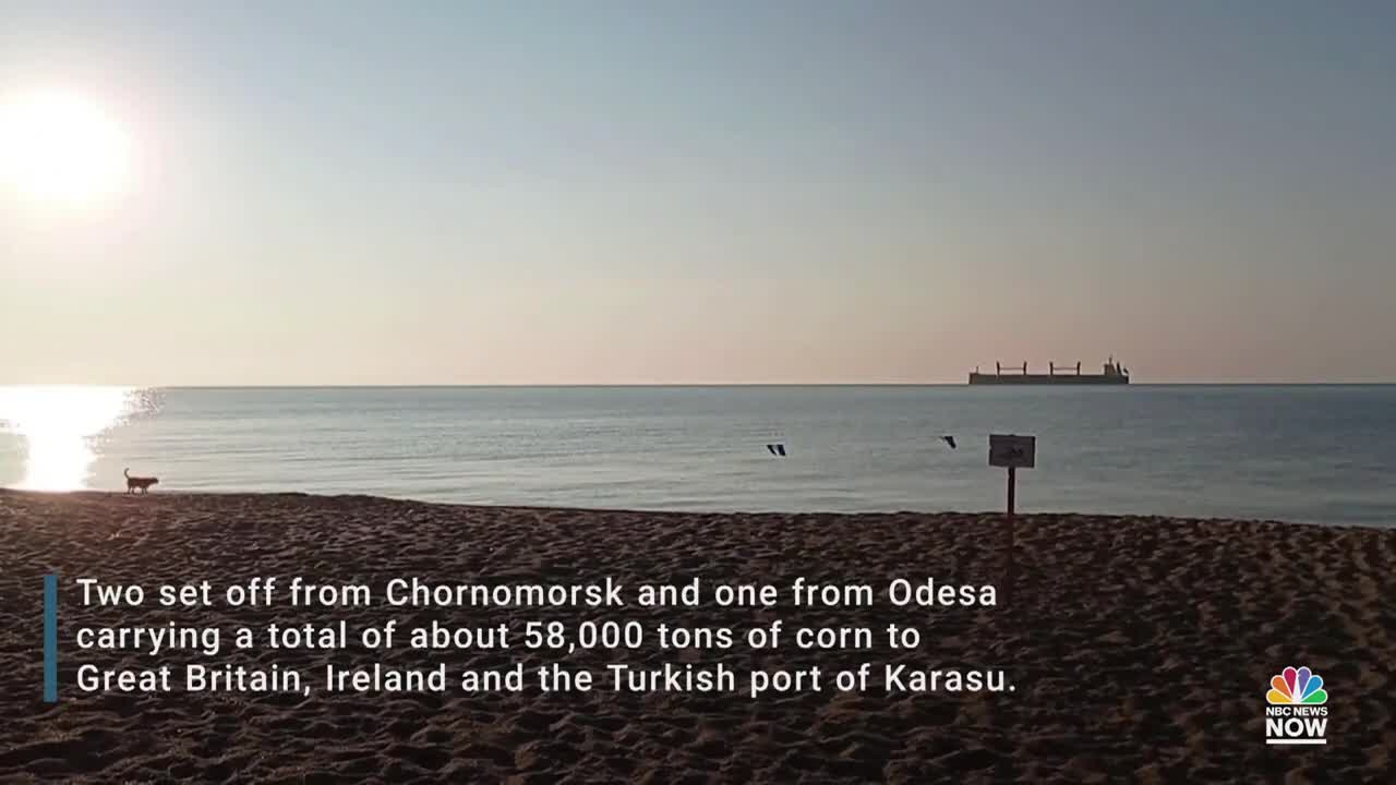 Three More Ships Loaded With Corn Sail From Ukrainian Ports